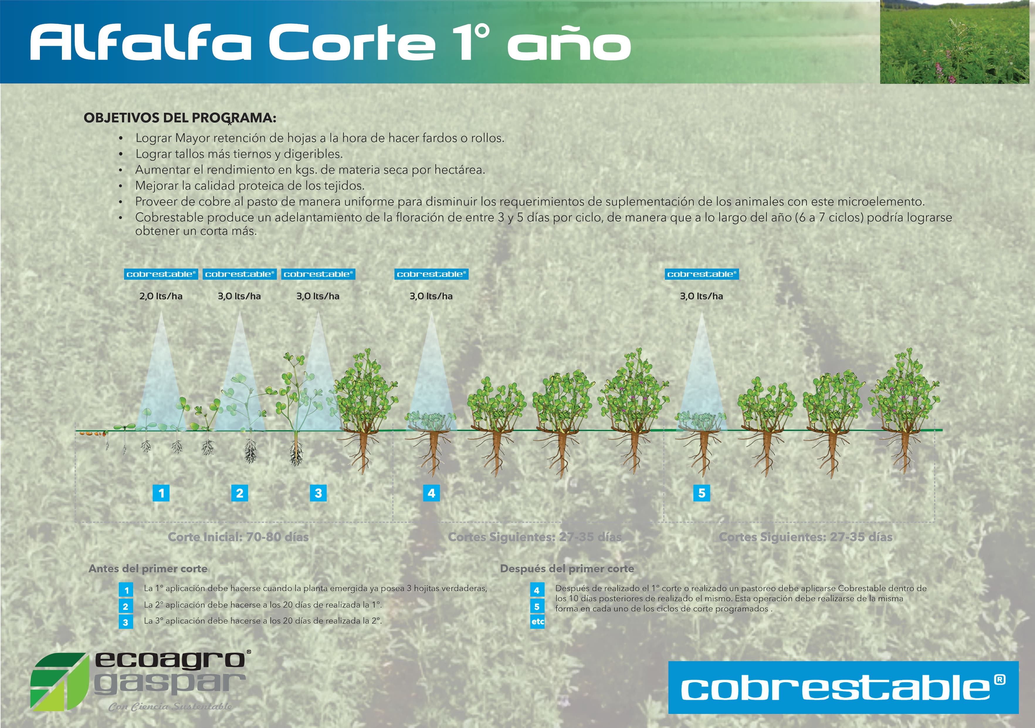 Protocolo de aplicación para Alfalfa Primer Corte