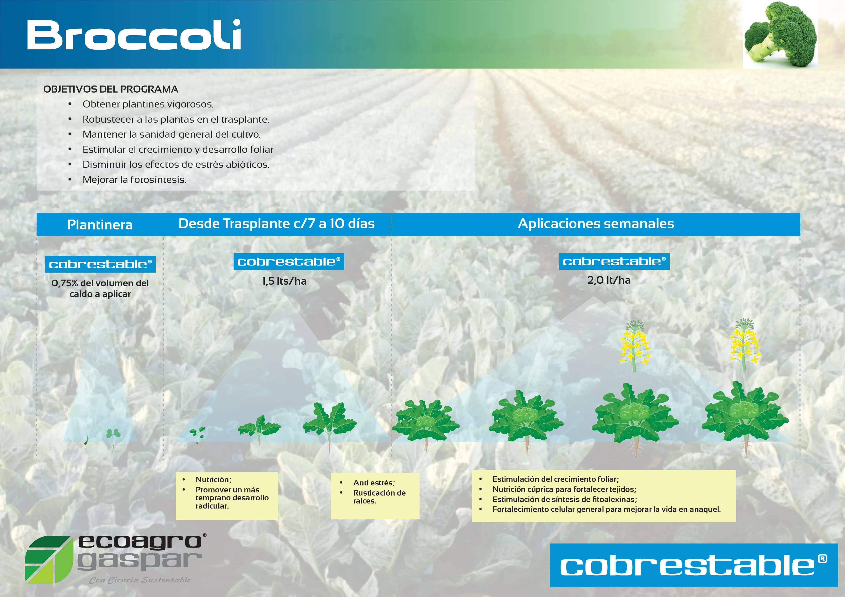 Protocolo de aplicación para Broccoli