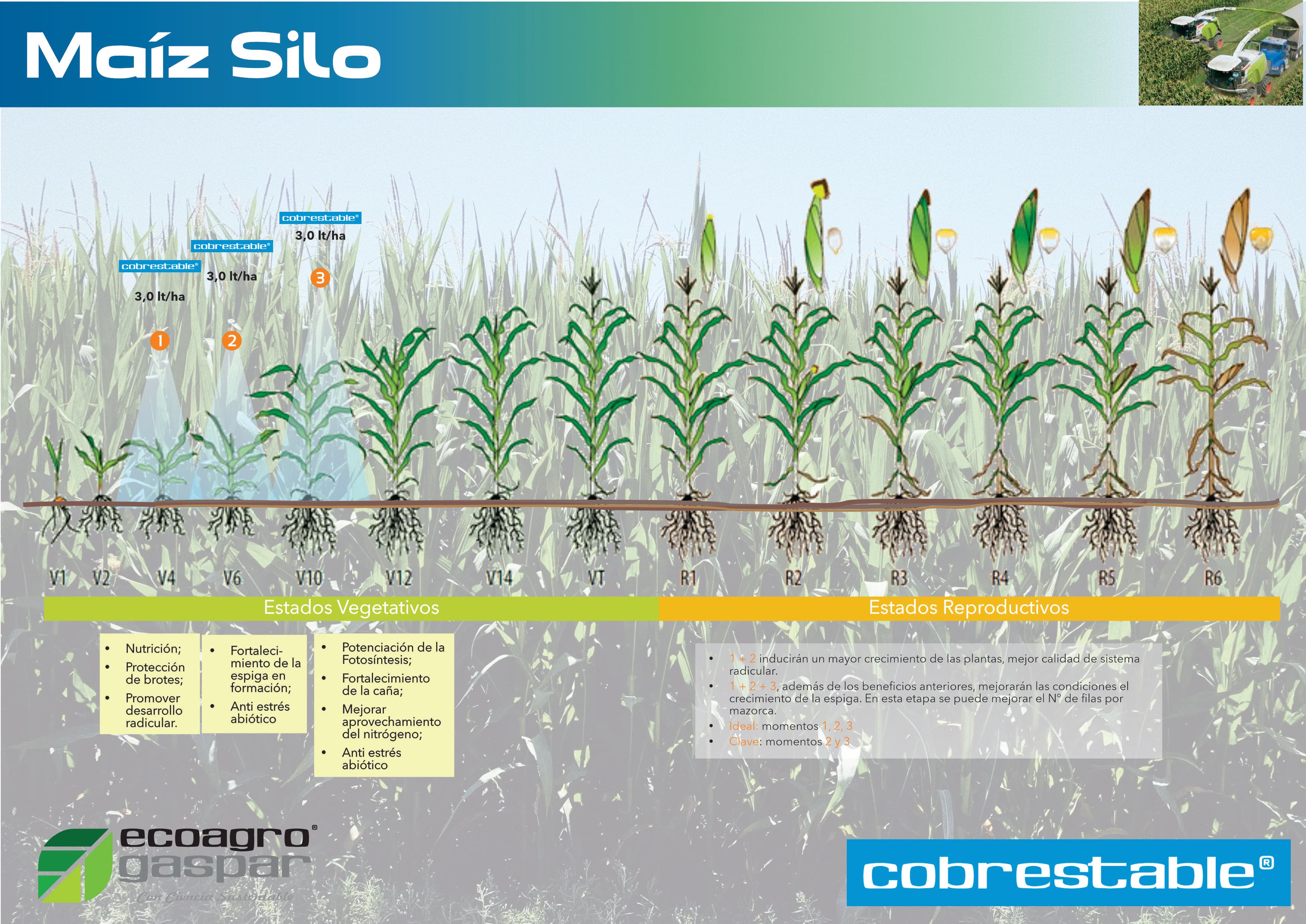 Protocolo de aplicación para Maíz Silo