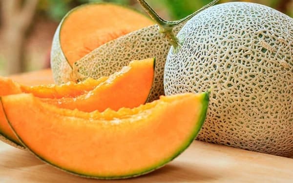 Melón