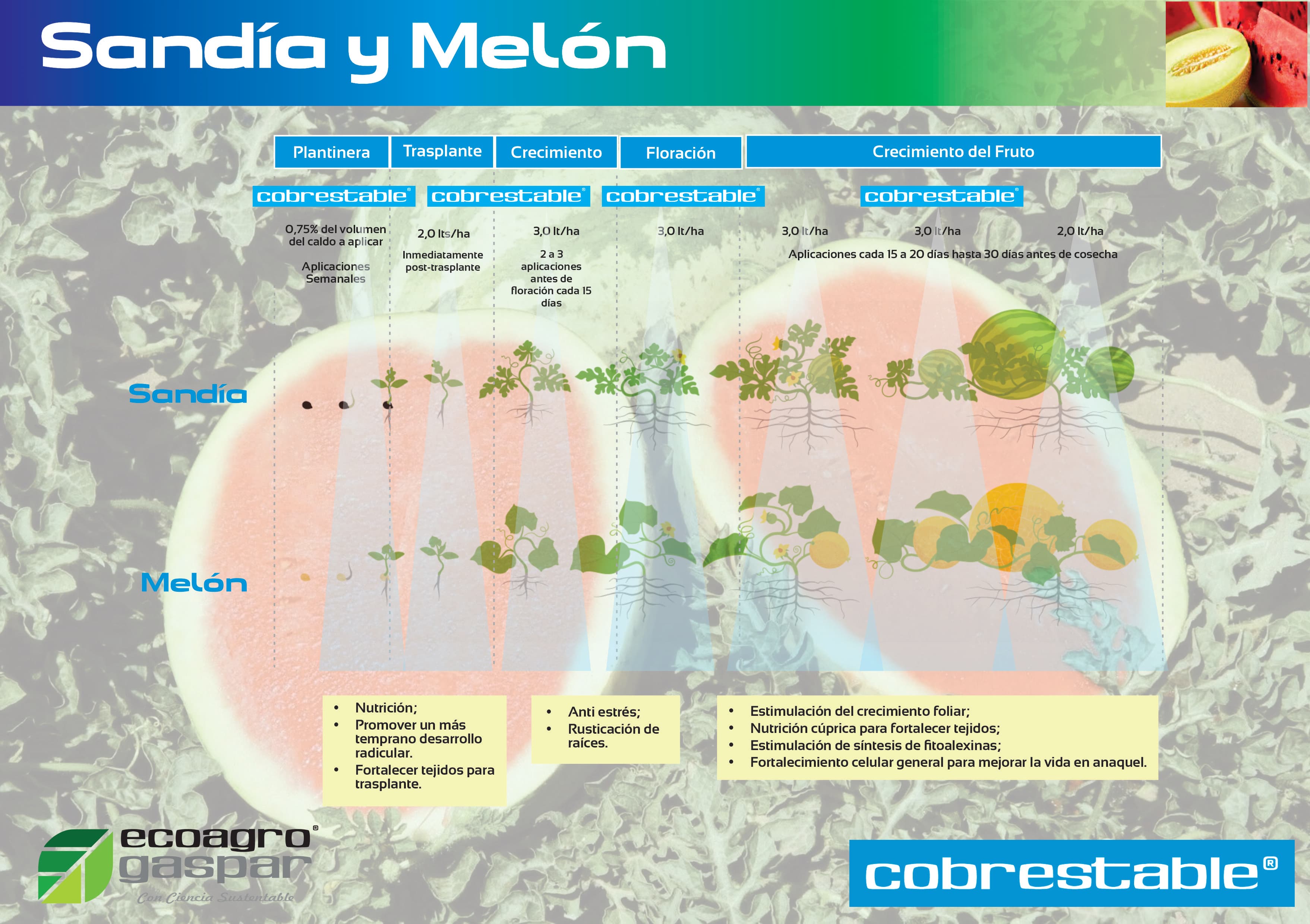 Protocolo de aplicación para Sandía