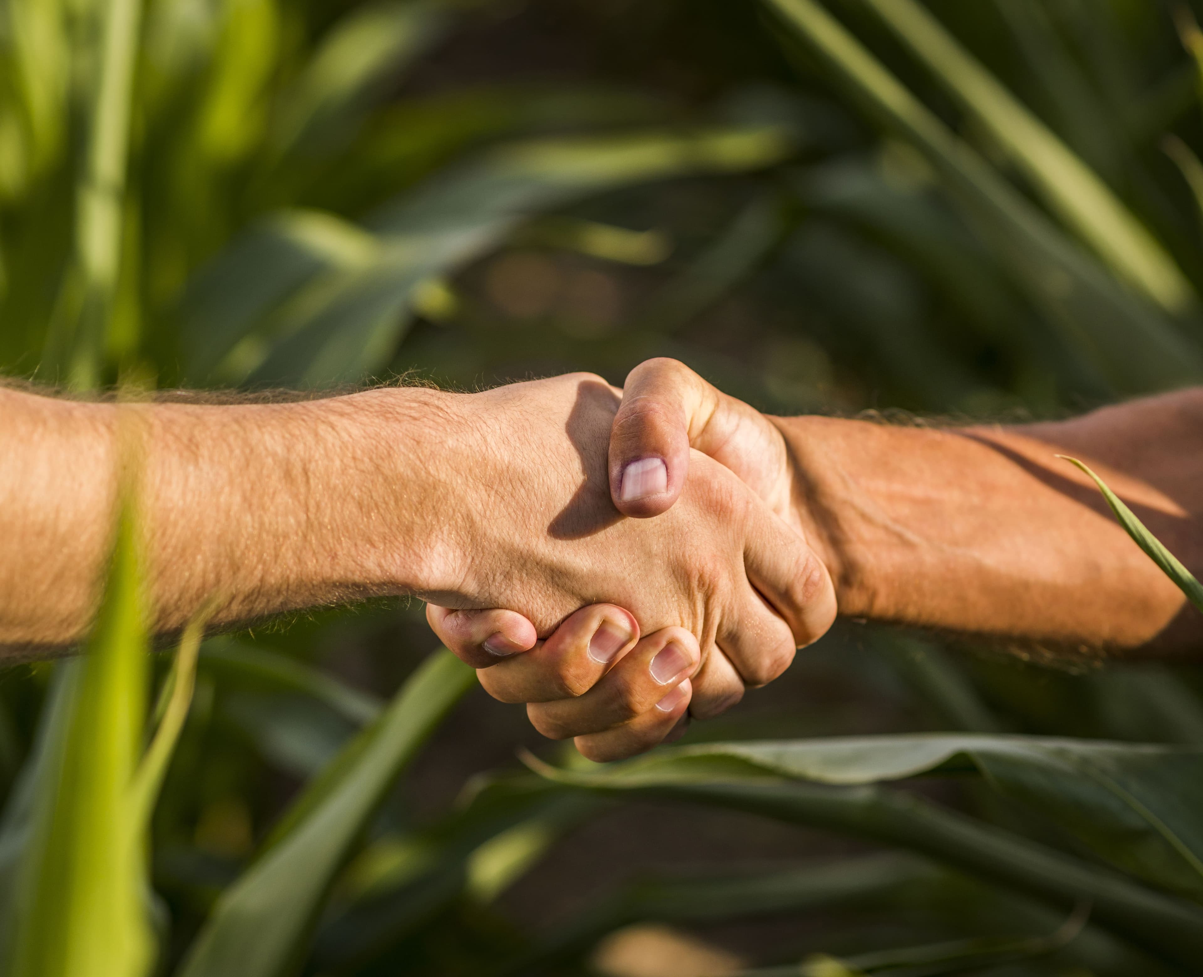 Productos sostenibles y agricultura responsable