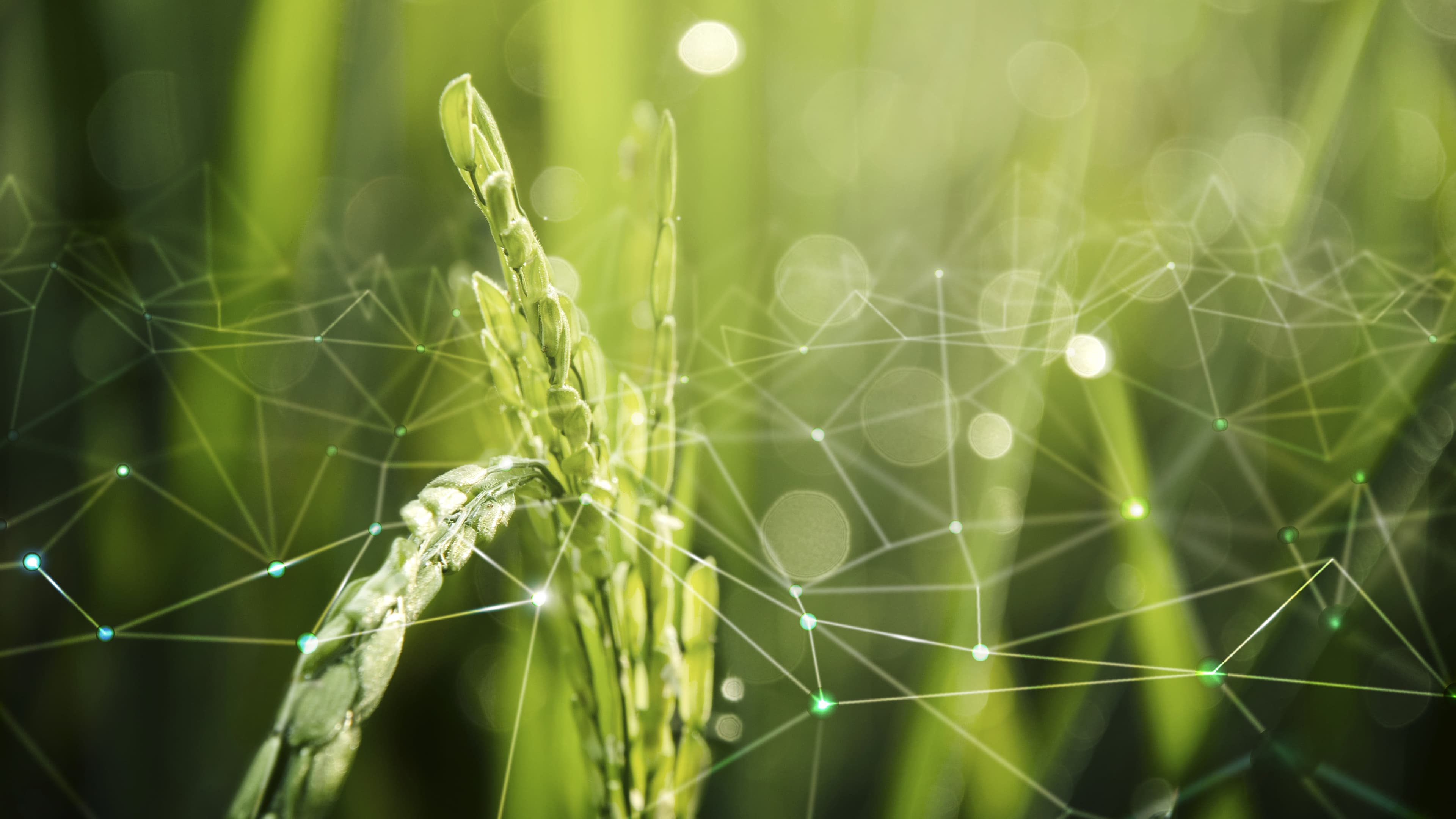 Futuro de la agricultura y tecnología innovadora