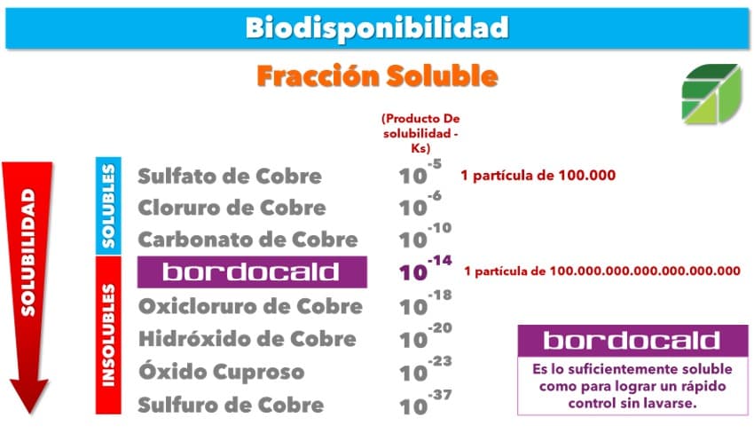 BORDOCALD - Biodisponibilidad