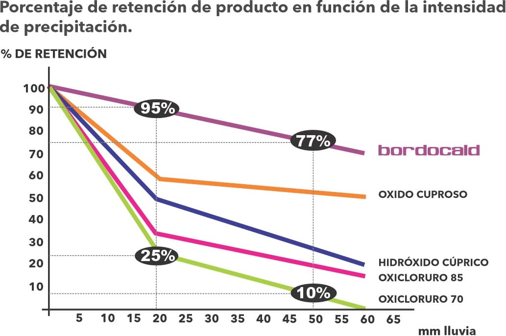 Gráfico de retención por intensidad de precipitación - BORDOCALD