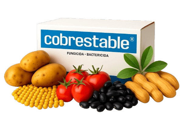 COBRESTABLE