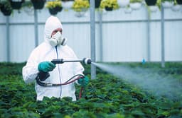 Acción bactericida y fungicida